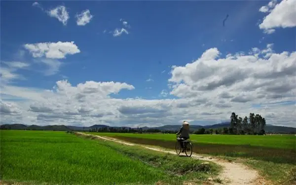 Hoa Vàng Trên Cỏ Xanh - Ngây Ngất Cảnh Sắc Phú Yên Hoa Vàng Trên Cỏ Xanh 2 hoa vàng trên cỏ xanh