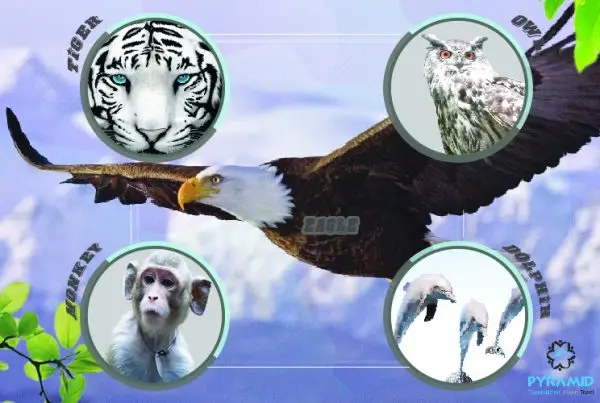 5 Tính Cách Cơ Bản 5 tính cách cơ bản