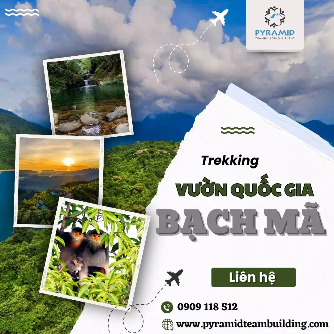 Trekking Bạch Mã Cùng Pyramid trekking bạch mã cùng pyramid
