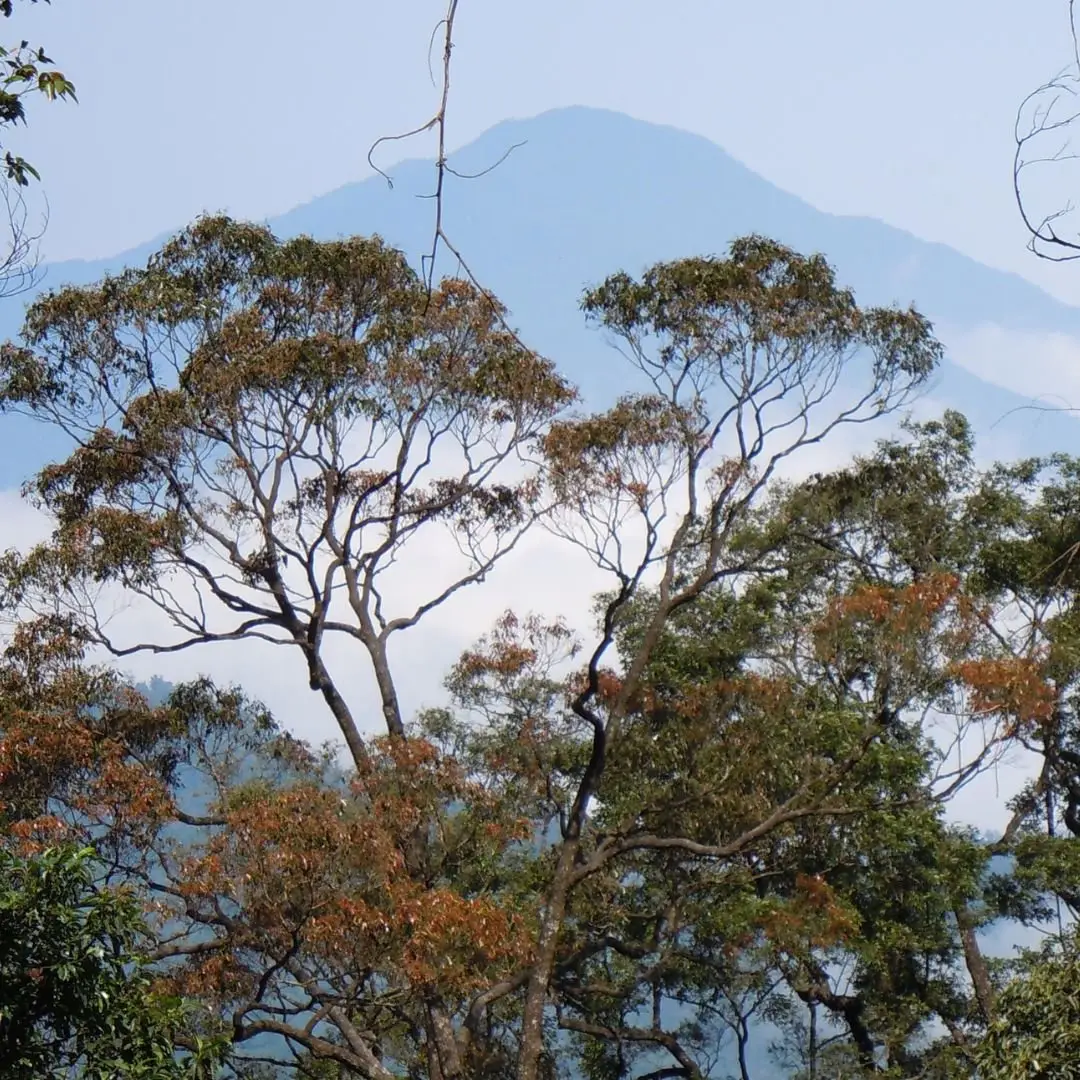 Trekking Bạch Mã Cùng Pyramid trekking bạch mã cùng pyramid