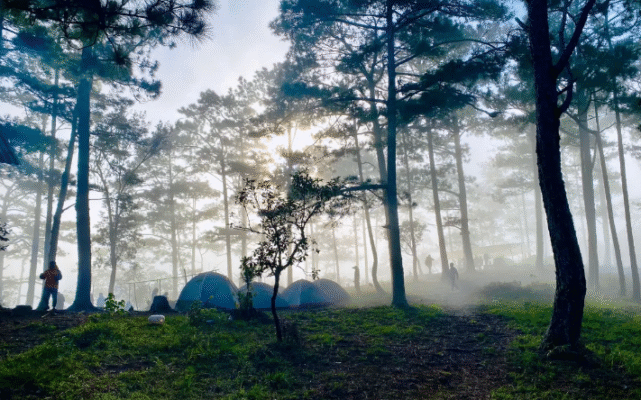 Trekking Bidoup - Hành Trình Chinh Phục Giới Hạn Giữa Đại Ngàn 56 trekking bidoup